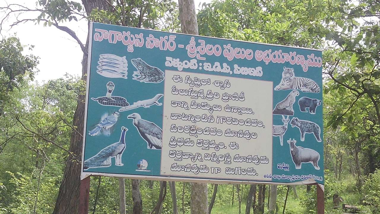 Nalla Malla Forest: రేపటి నుంచి నల్లమల అడవుల్లోకి నో ఎంట్రీ.. ఇష్టకామేశ్వరి ఆలయ దర్శనం సహా పర్యాటక ప్రాంతాల్లో నిషేధం..