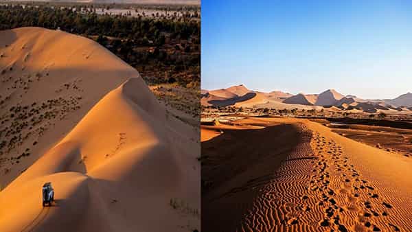 World Oldest Desert: ఈ ఎడారిలో వింతలు సైన్స్కు సవాల్.. దేవుడి పాదముద్రలు.. జంతువుల సంచారం..
