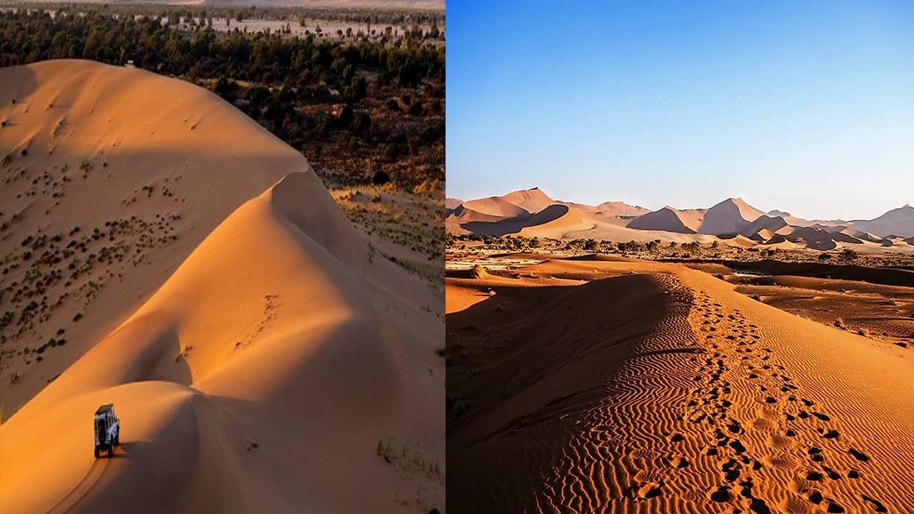World Oldest Desert: ఈ ఎడారిలో వింతలు సైన్స్‌కు సవాల్.. దేవుడి పాదముద్రలు.. జంతువుల సంచారం..