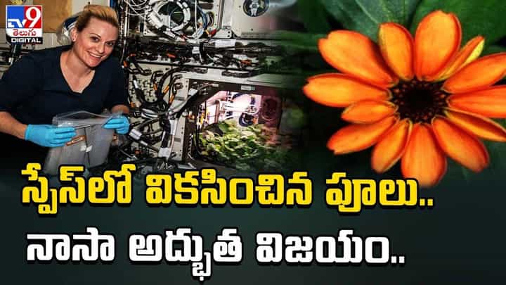 అంతరిక్షంలో పూలు పూసాయోచ్.. నాసా అద్భుత విజయం.. అంతరిక్షంలో పూలు పూసాయోచ్.. నాసా అద్భుత విజయం..