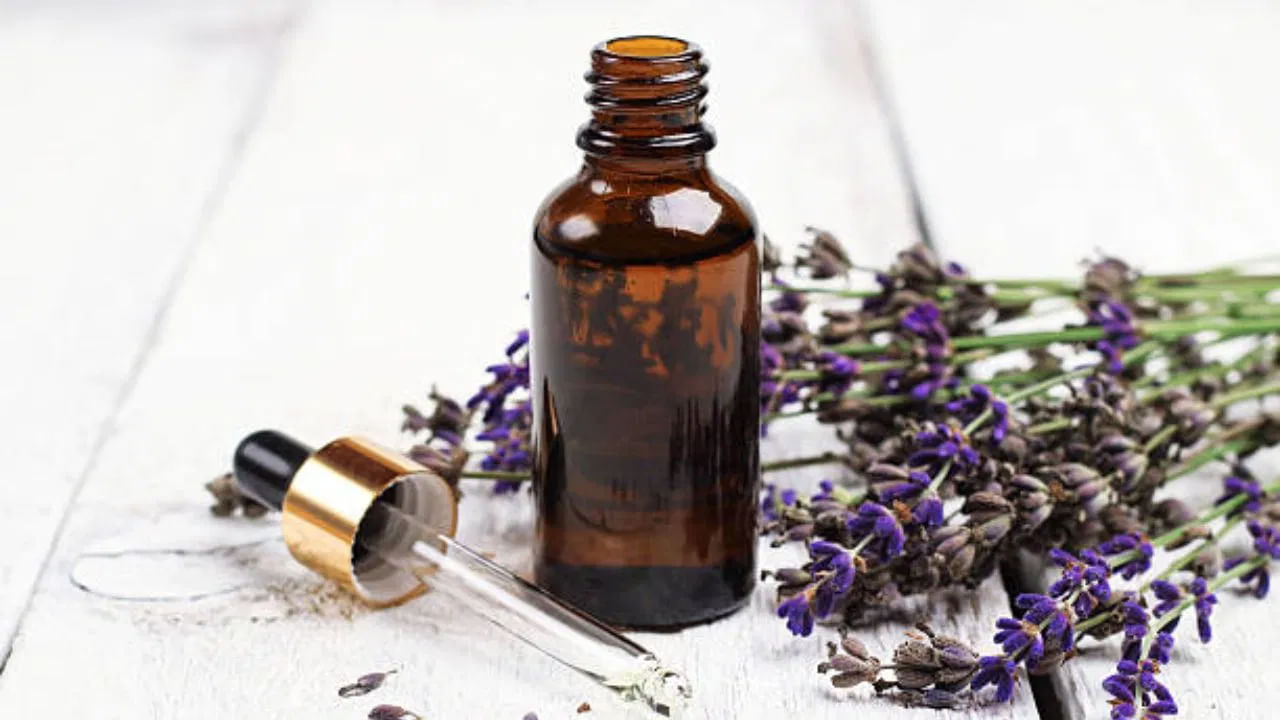 మీరు రోజ్ సెంటెడ్ పెర్ఫ్యూమ్ వాడుతున్నారా..? ఇప్పుడు ప్రతిరోజూ ముఖ్యమైన నూనెను వాడండి. గులాబీల సువాసన ఈ ముఖ్యమైన నూనెలో కనిపిస్తుంది. రోజ్ ఎసెన్షియల్ ఆయిల్ సువాసన మిమ్మల్ని శక్తివంతంగా, ప్రశాంతంగా అనుభూతి అందిస్తుంది.