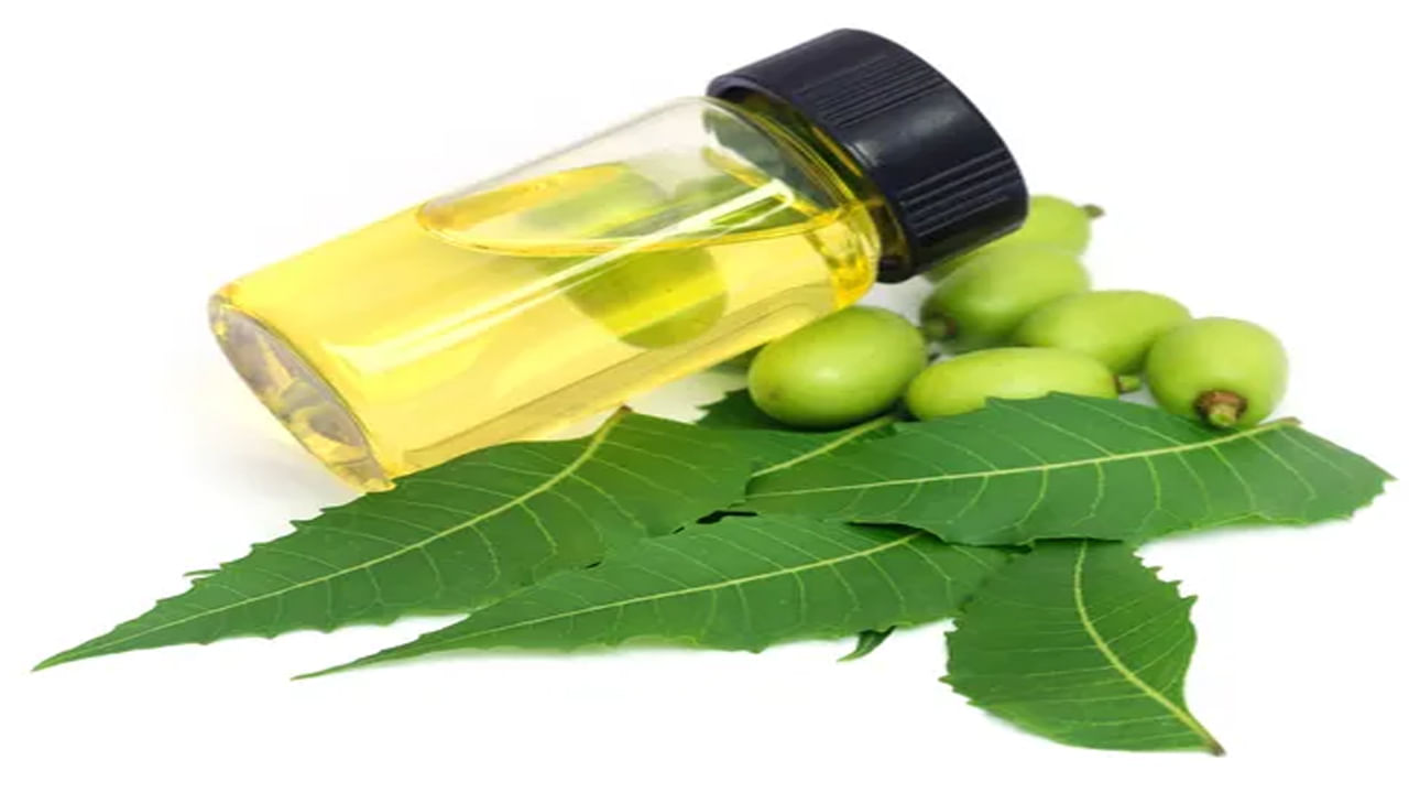 Neem Oil- వేపలో కీటకాలను చంపే శక్తి ఉంటుంది. వేప నూనెని నీటిలో స్ప్రే చేస్తే చీమలు చాలా వరకూ చచ్చిపోతాయి. కాబట్టి రెగ్యులర్‌గా ఇలా చేయండి.