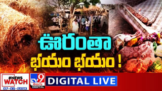 Dashabdi Utsavalu: మైహోం సిమెంట్స్ ఇండస్ట్రీలో తెలంగాణ ప్రగతి ఉత్సవాలు..