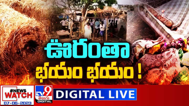 News Watch: ఊరంతా భయం భయం.. మరిన్ని వార్తా కథనాల సమాహారం కోసం వీక్షించండి న్యూస్ వాచ్ News Watch: ఊరంతా భయం భయం.. మరిన్ని వార్తా కథనాల సమాహారం కోసం వీక్షించండి న్యూస్ వాచ్