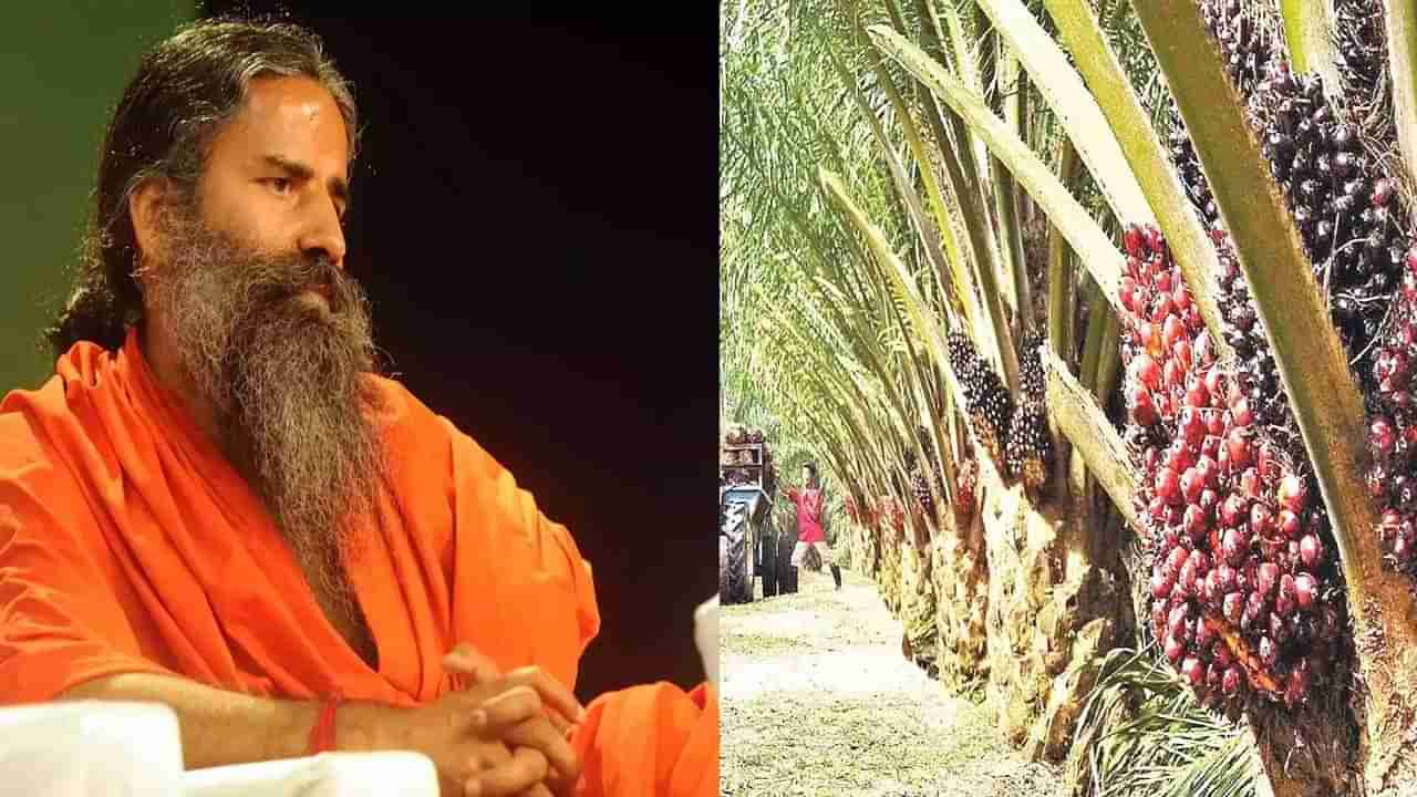 Patanjali: పామాయిల్ ఉత్పత్తిలో పతంజలి.. 5 లక్షల మంది రైతులకు నేరుగా లబ్ధి చేకూరుతుందన్న బాబా రాందేవ్