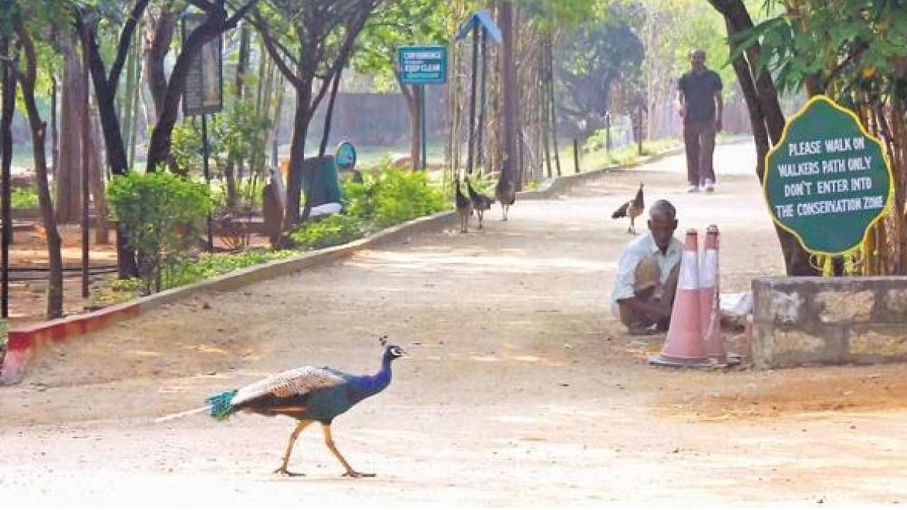 Parks: తెలంగాణ ప్రజలకు గుడ్ న్యూస్.. ఆ రోజున అన్ని పార్కుల్లో ప్రవేశం ఉచితం