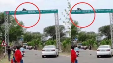 Viral Video: Varni, this is yoga, Sammy.. Can you go somewhere else.. If your foot slips a bit..!!