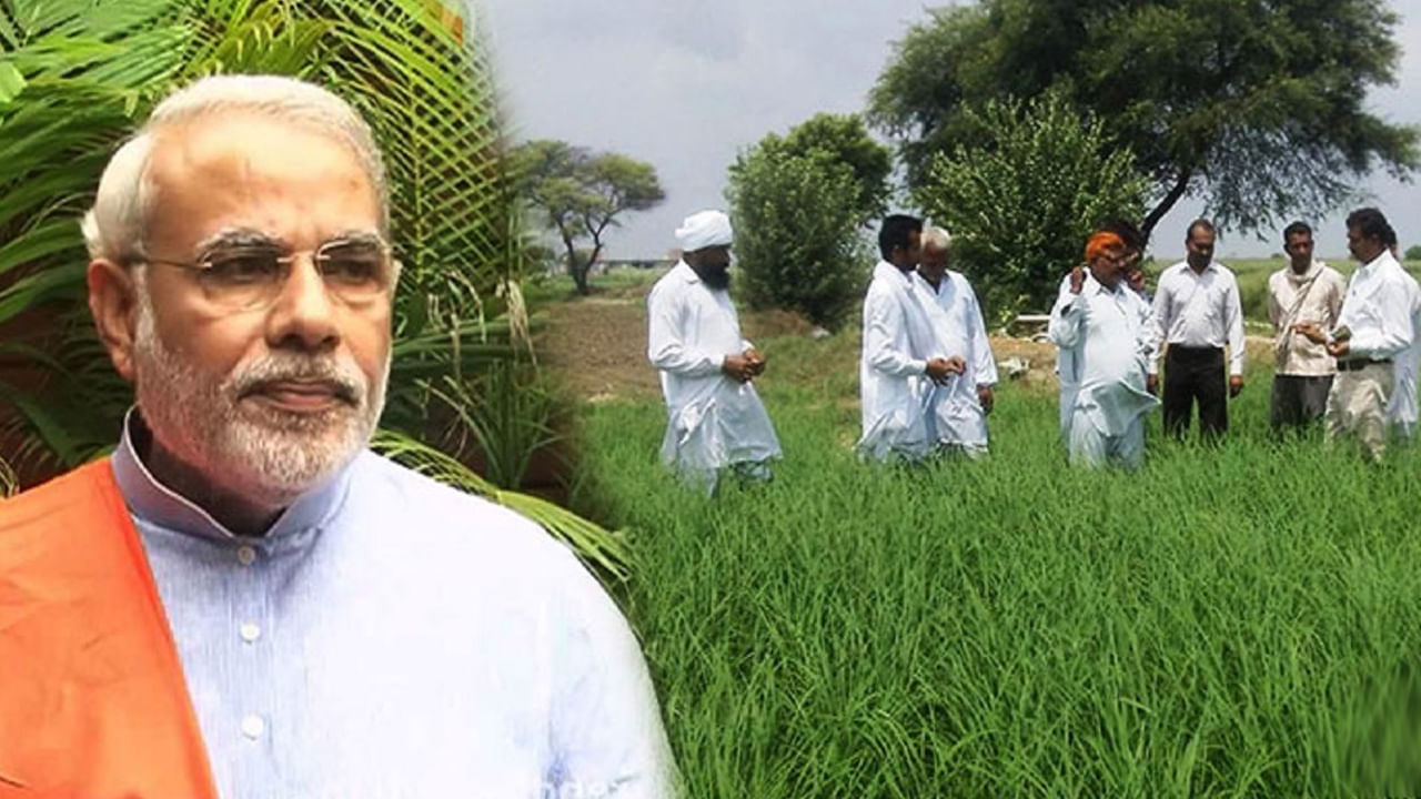 PM Kisan Yojana: రైతులకు ప్రధాని మోదీ మరో గొప్ప వరం.. ఖాతాలో రూ.15 లక్షల, ఎలా దరఖాస్తు చేయాలంటే..