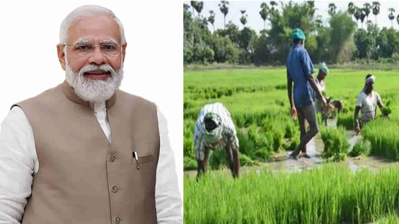 Central Cabinet: అన్నదాతలకు గుడ్ న్యూస్ చెప్పిన మోడీ సర్కార్.. పంటల కనీస మద్దతు ధర పెంపు..