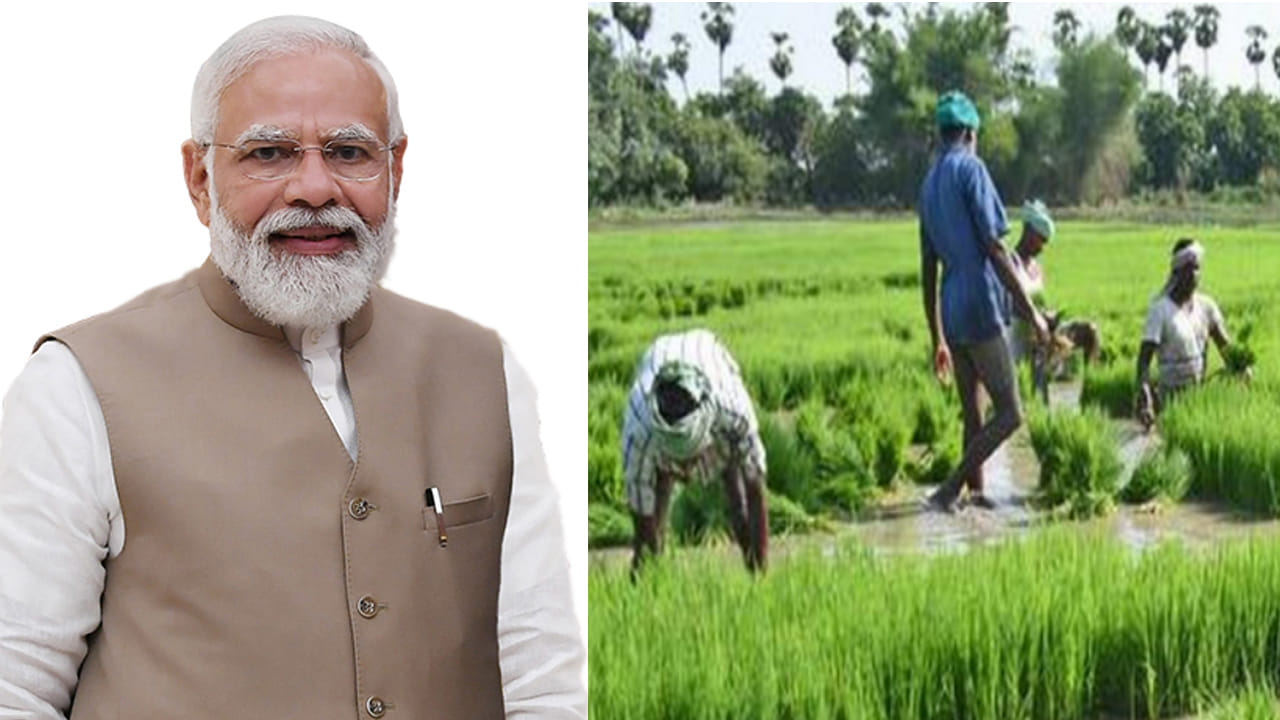 Central Cabinet: అన్నదాతలకు గుడ్‌ న్యూస్‌ చెప్పిన మోడీ సర్కార్‌.. పంటల కనీస మద్దతు ధర పెంపు..