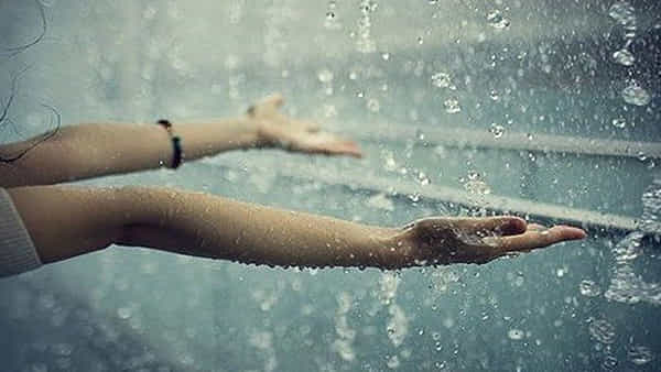 Rain Water Benefits: వాన నీరు ఆరోగ్యానికి ఎంత మంచిదంటే.. జుట్టు, చర్మకాంతితో పాటు బీపీకి చెక్ పెట్టొచ్చు ఇలా..