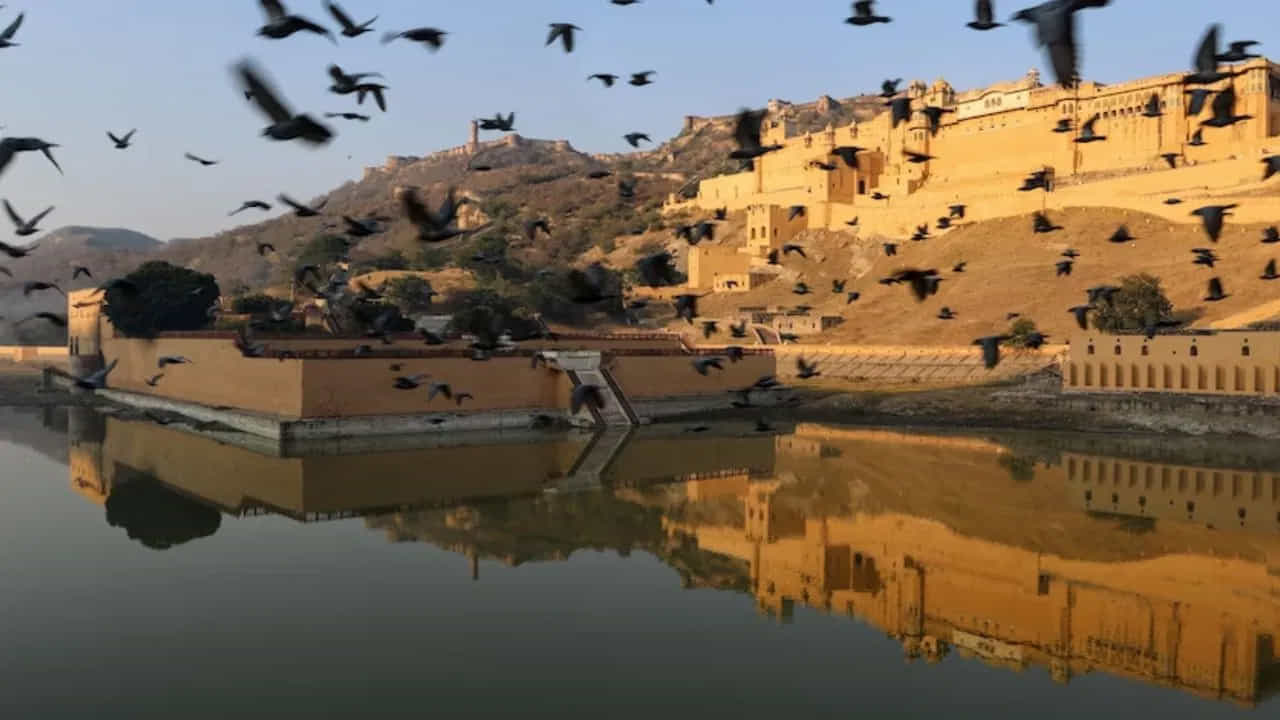 IRCTC Rajasthan Tour: వేసవిలోనే కాకుండా పండుగ సీజన్లో కూడా విద్యాలయాలకు సెలవులు ఉంటాయి. మీరు వేసవి సీజన్లో విహారయాత్రకు వెళ్లలేకపోతే, ఈసారి వచ్చే పండుగ సీజన్ అంటే అక్టోబర్ 20 నాటికి రాజస్థాన్ని సందర్శించాలని ప్లాన్ చేసుకోండి. ఎందుకంటే IRCTC ఓ అద్భుతమైన టూర్ ప్యాకేజీని తీసుకువచ్చింది, దీనిలో మీరు రాజస్థాన్లోని అనేక పర్యాటక ప్రదేశాలను సందర్శించే అవకాశాన్ని పొందుతారు.