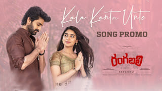 Rashmika Mandanna: మేనేజర్ చేతిలో మోసపోయిన రష్మిక మందన్నా ?.. ఎన్ని లక్షలు దొచేశాడంటే..