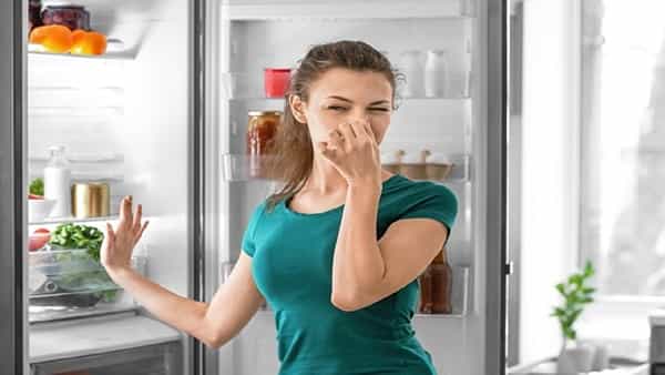 Kitchen Tips: ఫ్రిజ్ నుంచి విపరీతమైన దుర్వాసన వస్తుందా? ఈ సింపుల్ టిప్స్తో సమస్య దూరం చేయండిలా