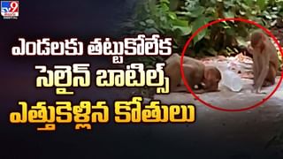 కోట్ల విలువైన కారులో చాయ్‌ దుకాణమా !! కస్టమర్స్‌ను ఆకట్టుకోడానికి నయా టెక్నిక్‌