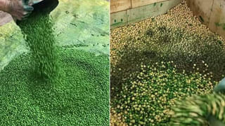 Wedding: ఇది జేసీబీ యుగం..! ఇదే ట్రెండ్‌ ఫాలో అవుతున్న వధూవరులు..