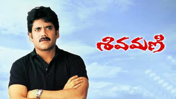 Shivamani: నాగార్జున బ్లాక్ బస్టర్ హిట్ శివమణి సినిమాను మిస్ చేసుకున్న హీరో ఎవరో తెలుసా..