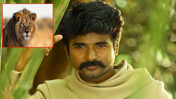 సింహాన్ని దత్తత తీసుకున్న స్టార్ నటుడు.. ఇంతకీ ఎందుకో తెలుసా..?
