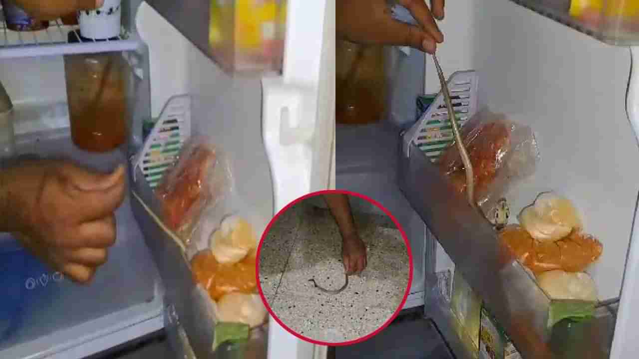 Viral Photo: వాటర్ కోసం ఫ్రిడ్జ్ డోర్ తీసిన వ్యక్తికి షాక్.. డోర్‌లో నాగుపాము పిల్ల..