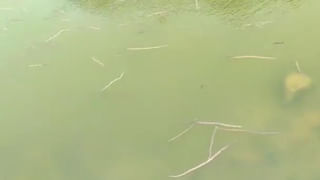 First Day First Show: ఇంట్లో కూర్చుని కొత్త సినిమా ఫస్ట్ డే ఫస్ట్ షో చూసేయండి.. ఆంధ్రప్రదేశ్‌ లోగిళ్లలోకి ఏపీ ఫైబర్‌ నెట్