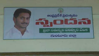 Andhra Pradesh: ఏపీలో ముందస్తు ఊహాగానాలు.. క్లారిటీ ఇచ్చిన మంత్రి పెద్దిరెడ్డి..