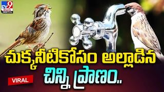 అర్జెంట్‌గా టాయిలెట్‌కి వెళ్లాడు.. అక్కడ కనిపించిన దృశ్యం చూసి షాక్