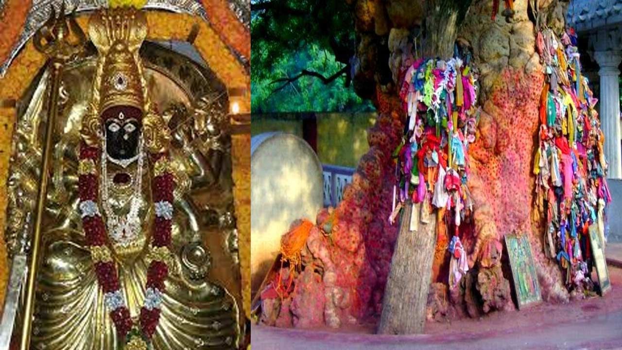 Sri Chengalamma: వైభవంగా చెంగాళమ్మ బ్రహ్మోత్సవాలు .. అమ్మవారిని పూజిస్తే సంతానం కలుగుతుందని నమ్మకం..