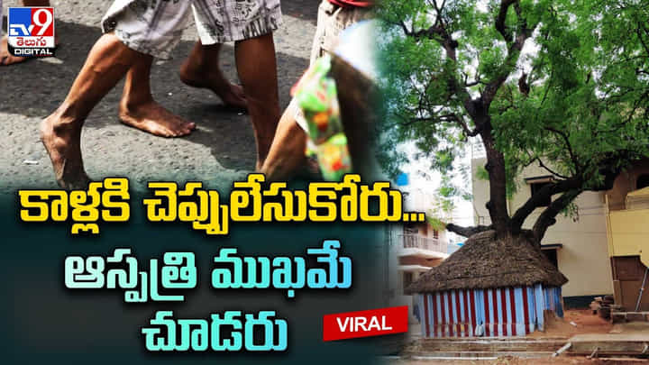 వింత గ్రామం.. అక్కడి ఆచారాలు చూస్తే ఆశ్చర్యపోతారు.. చెప్పులు వేసుకోరు.. ఆస్పత్రులకు వెళ్లరు వింత గ్రామం.. అక్కడి ఆచారాలు చూస్తే ఆశ్చర్యపోతారు.. చెప్పులు వేసుకోరు.. ఆస్పత్రులకు వెళ్లరు