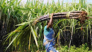 Tomato Price Hike: రూ.140కి చేరిన టమోటా ధర.. రేట్ల పెంపుపై రాహుల్‌ గాంధీ ట్వీట్‌