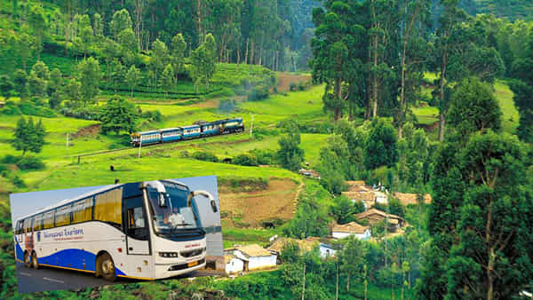 Tourism: హలో హైదరాబాదీలు... చలో ఊటీ.. రూ. 9వేలకే ఆరు రోజుల ట్రిప్. పూర్తి వివరాలు.