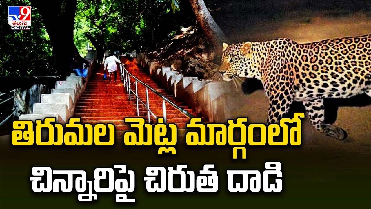 Tirumala: తిరుమల మెట్ల మార్గంలో చిన్నారిపై చిరుత దాడి