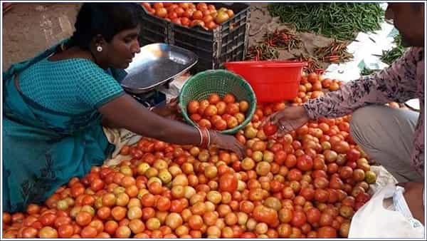 Tomato: ఆకాశాన్ని తాకుతున్న టమాటా ధరలు.. మదనపల్లి మార్కెట్లో కిలో టమాటా రూ.124