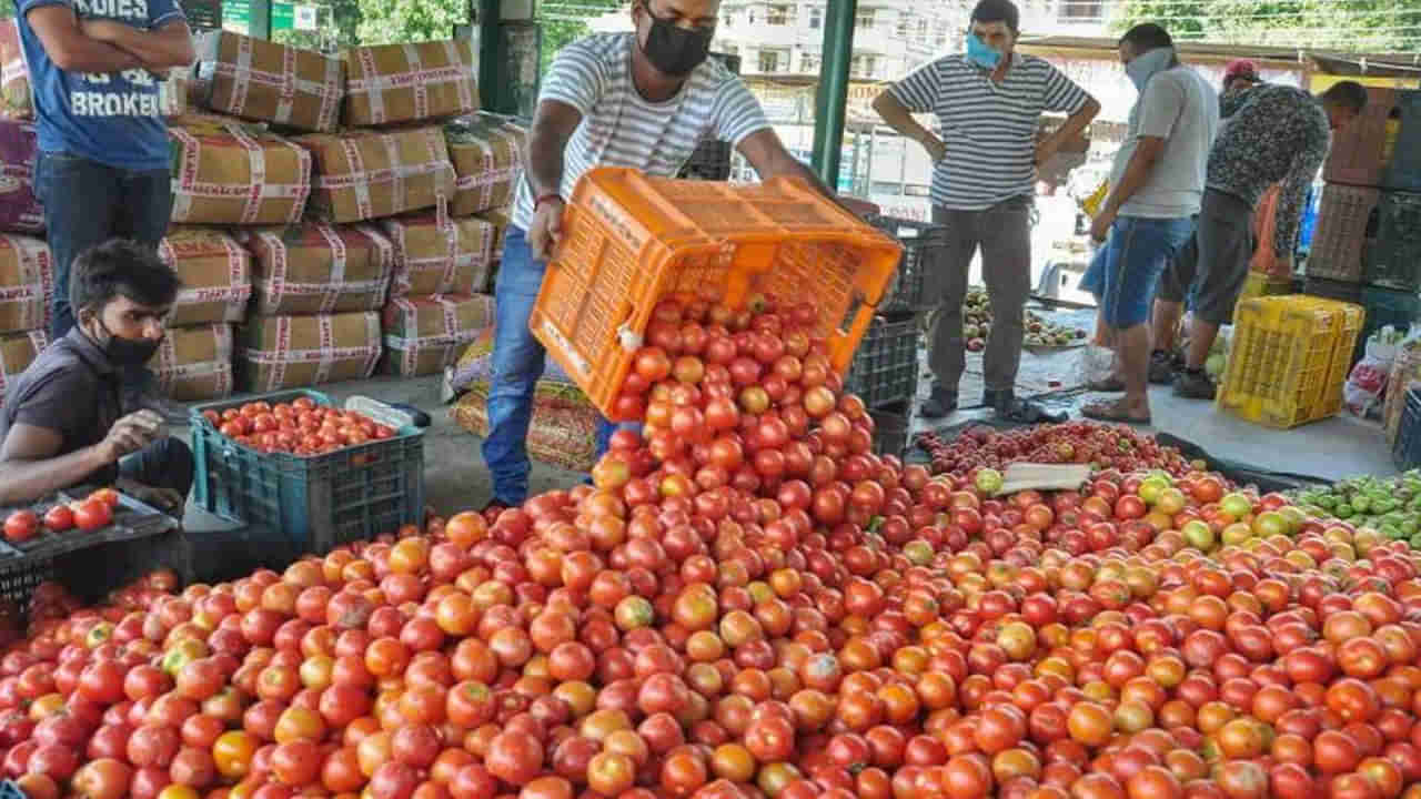 Tomato Price: సెంచరీ దాటేసిన టమాటా ధర.. పెరుగుతున్న కూరగాయల ధరలు.. అప్రమత్తమైన స్టాలిన్ సర్కార్..