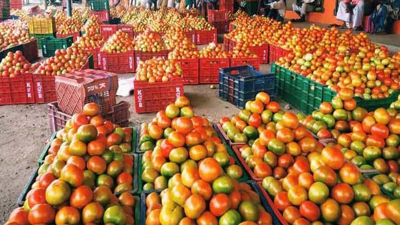 గత కొంత కాలం క్రితం వరకూ కిలో టమాటా ధర రూ.10 నుంచి 20 వరకు ఉండేది. అయితే రెండు నెలల్లోనే టొమాటో ధర చాలా రెట్లు పెరిగింది. తెలంగాణ, ఆంధ్రప్రదేశ్,  మహారాష్ట్రలో మాత్రమే టమోటా ధరకు రెక్కలు రాలేదు.. దేశ రాజధాని ఢిల్లీతో సహా అనేక ప్రాంతాల్లో టమాటా ధరలు పెరిగాయి.  వారం రోజుల క్రితం కిలో రూ.15 నుంచి 20 వరకు విక్రయించే చోట ప్రస్తుతం టమాట ప్రస్తుతం కిలో రూ.30 నుంచి రూ. 50 లకు చేరుకుంది 