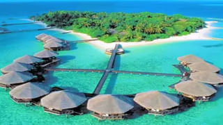 Grow Tomatoes At Home: రూ.120 మార్క్ దాటిన టమాటా.. టామాటా మోత నుంచి తప్పించుకోండిలా..!