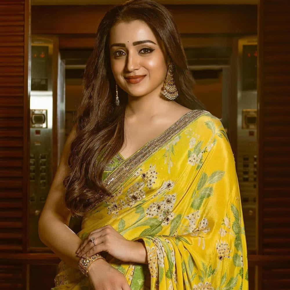 వెండితెరపై అందాల తార జోరు.. మళ్లీ త్రిషకు వరుస ఆఫర్స్.. ఈసారి ఆ స్టార్ హీరో సరసన.. 