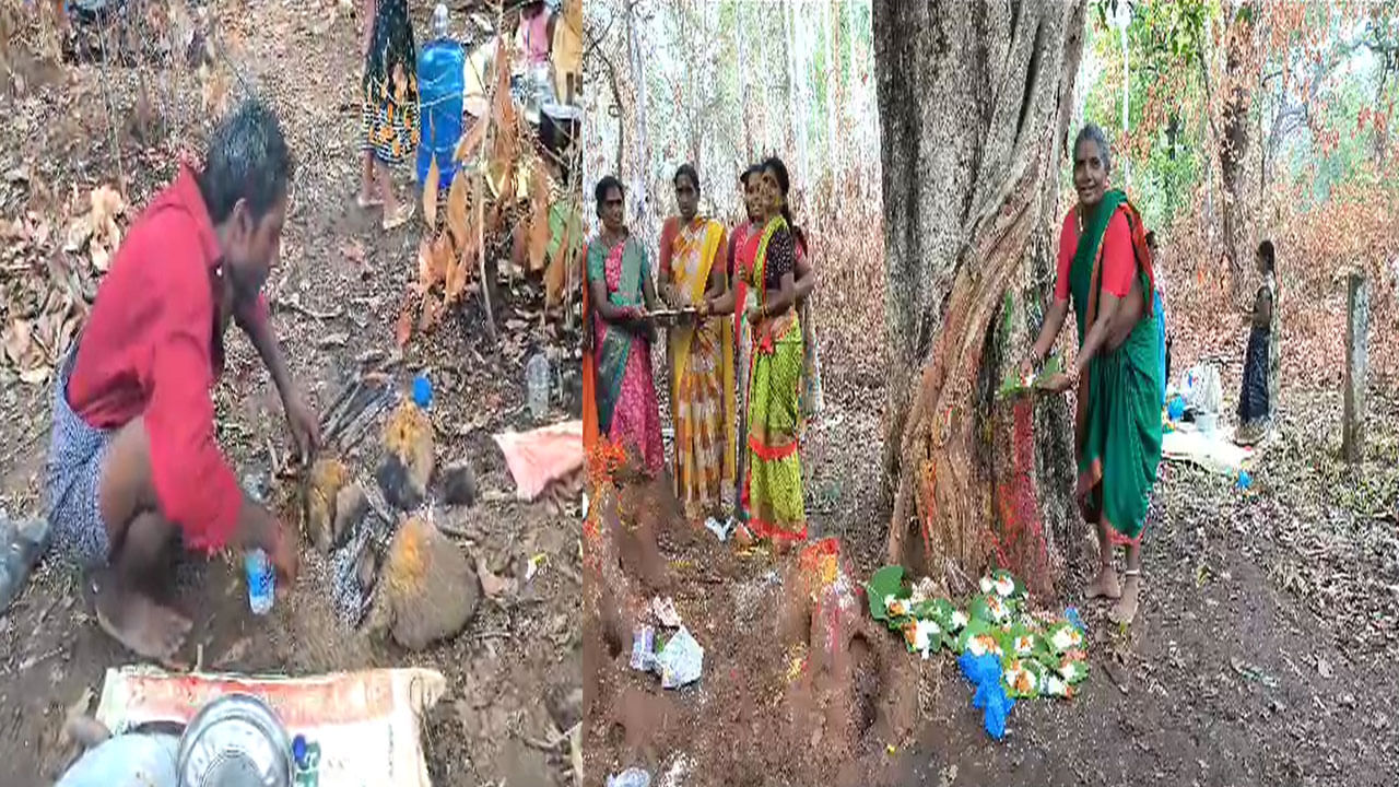 Vana Pujalu: First greeting .. Pujas in the forest.