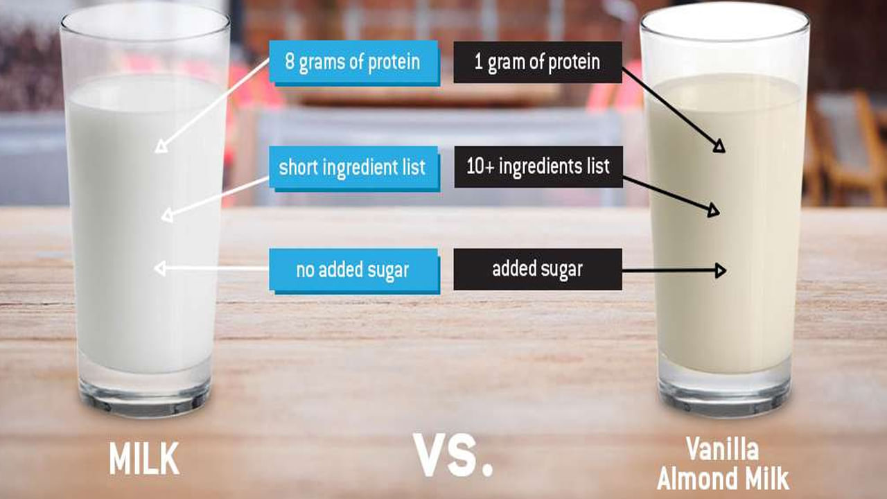 Vegan Milk శాకాహారి పాలు సాధారణ పాలకు తేడా ఏంటో తెలుసా.. రెండింటి మధ్య