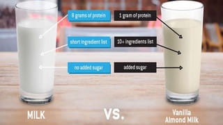 White Hair: మొదటిసారిగా తలపై తెల్ల జుట్టు కనిపించినప్పుడు ఏం చేస్తున్నారు.. వాటి పెరుగుదలను ఆపడానికి ఏం చేయాలో తెలుసుకోండి