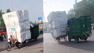 Watch Video: రెండు ఏనుగుల మధ్య భీకర పోరు.. గడ్డి పోచల్లా నేలకూలిన భారీ చెట్లు..