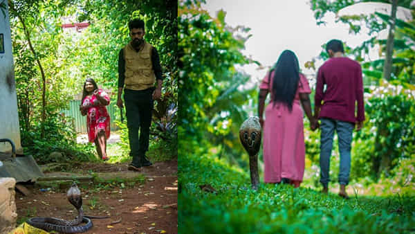 Viral News: క్రియేటివిటా.? పైత్యమా.? పాముతో ప్రీ వెడ్డింగ్ షూట్ ఎంట్రా బాబూ..