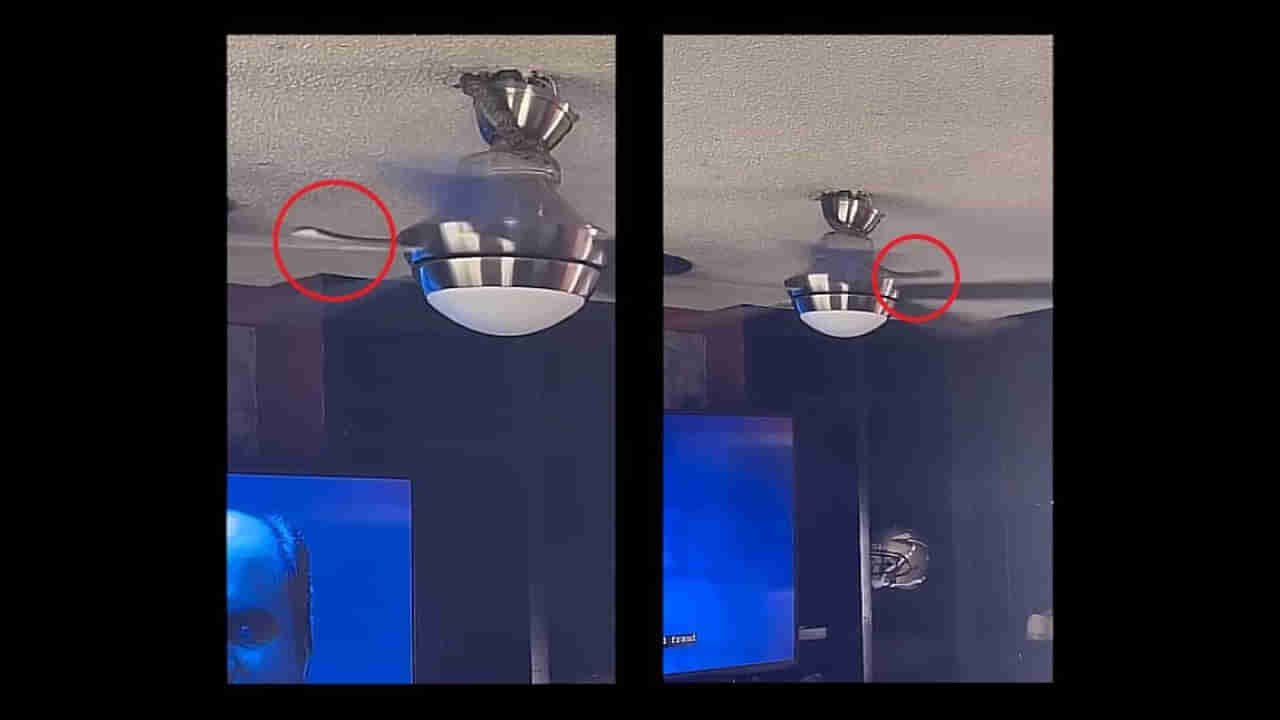 అయ్యో పాపం పాము..! ఎరక్కపోయి ఫ్యాన్ రెక్కల్లో ఇరుక్కుపోయింది..వీడియో చూసి నెటిజన్లు ఫైర్..