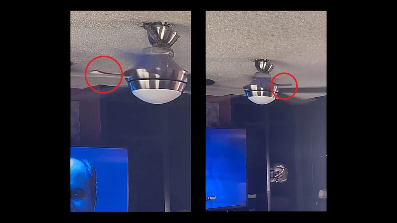 అయ్యో పాపం పాము..! ఎరక్కపోయి ఫ్యాన్ రెక్కల్లో ఇరుక్కుపోయింది..వీడియో చూసి నెటిజన్లు ఫైర్..