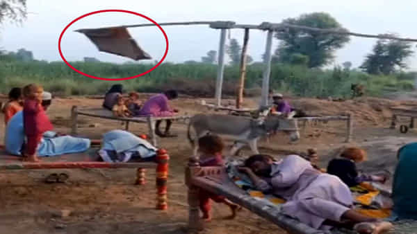 Watch Video: వేసవి కోసం పాకిస్థాన్ కొత్త ఆవిష్కరణ.. వీడియో చూశాక ఎవరికైనా ఆసూయ కలగాల్సిందే..
