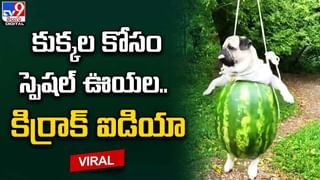 30 లక్షలమందిని ఇంప్రెస్‌ చేసిన దోశ.. తింటే వదలరు