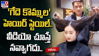 Viral Video: విమానం ఇంజిన్‌లో పడి వ్యక్తి దుర్మరణం.. ఎయిర్‌పోర్టులో టెంక్షన్.