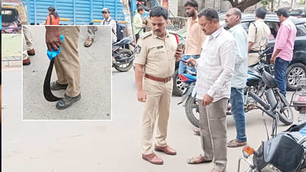 కడపలో దారుణం: పట్టపగలే నడిరోడ్డుపై.. వైసీపీ కార్యకర్త దారుణ హత్య!