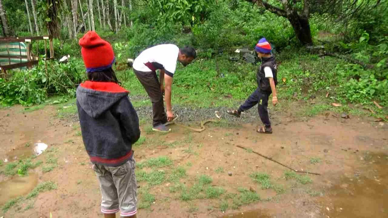 ఇతను 15 వేల పాములను పట్టుకుని కాపాడినట్లు అంచనా. అతని కుమార్తె ఆకర్ష, కుమారుడు విరాజ్ ఇప్పటికే 60 నుంచి 70 పాములను రక్షించారు. ఇద్దరికీ పాములను రక్షించే కళను తండ్రి ప్రశాంత్ నేర్పించారు.