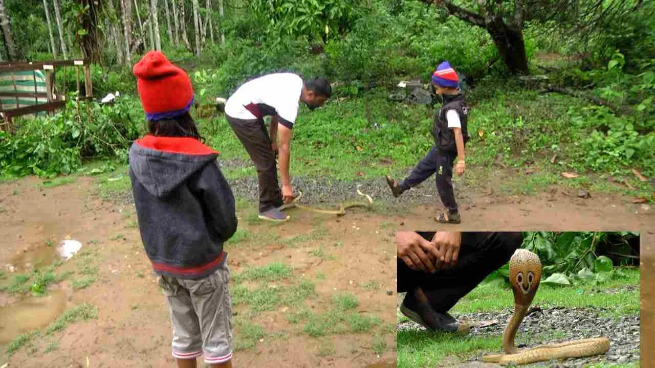 షిర్సీలో పాము కనిపించినప్పుడల్లా ప్రశాంత హులేకల్కు సమాచారం వస్తుంది. వెంటనే అక్కడికి వెళ్లి పాములను రక్షించి.. అడవిలో వదిలేస్తాడు. అయితే ఆటో నడుపుతూ కుటుంబాన్ని గడుపుతున్నాడు.