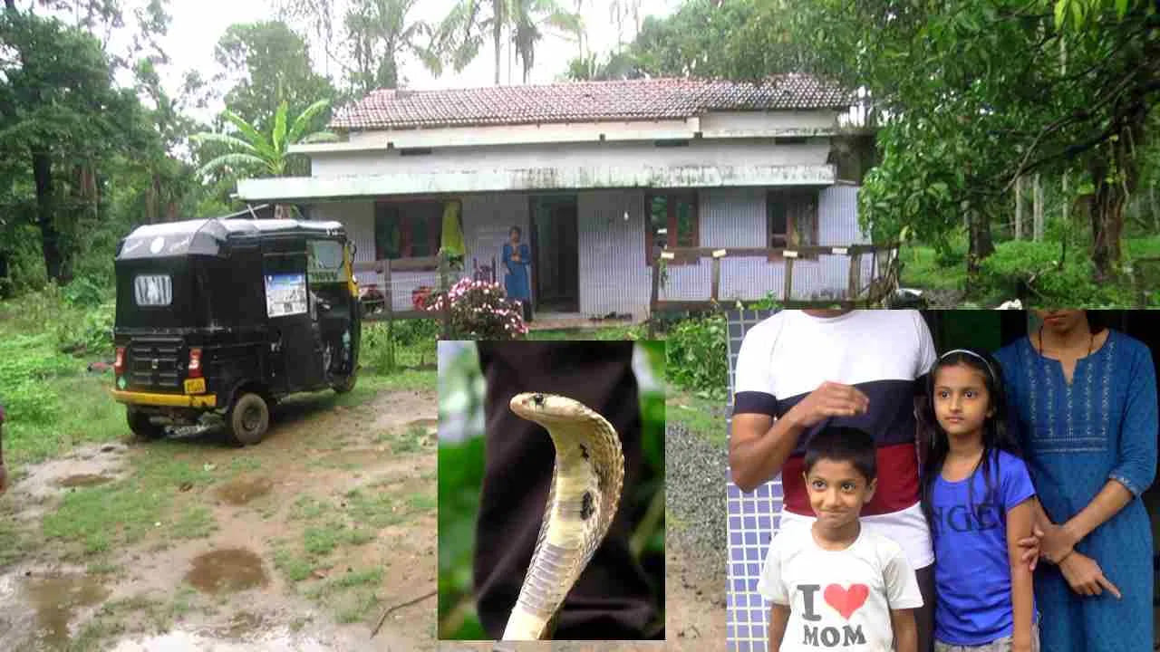 మొత్తానికి ఆరేళ్ల బాలుడు భారీ త్రాచుపాముతో సహా ఇప్పటివరకూ 60 పాములను కాపాడాడు.